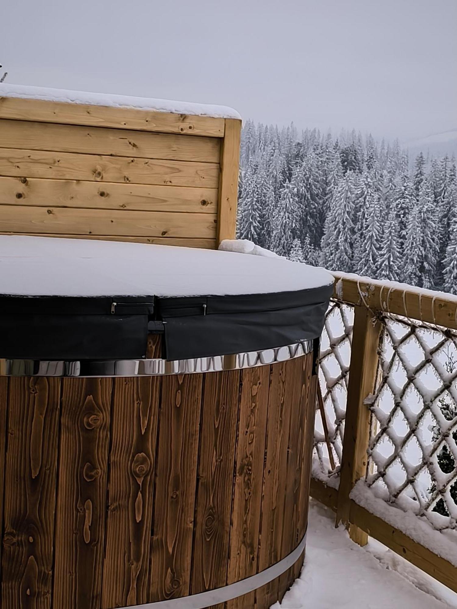 Witowianskie Domki Z Kominkiem, Jacuzzi I Sauna Dzianisz 외부 사진
